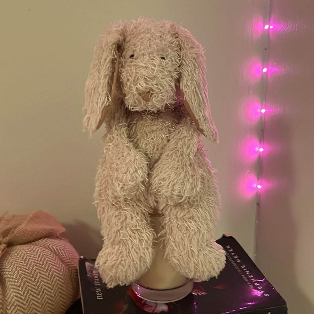 Vintage early 2000’s jellycat rabbit stuffed animal